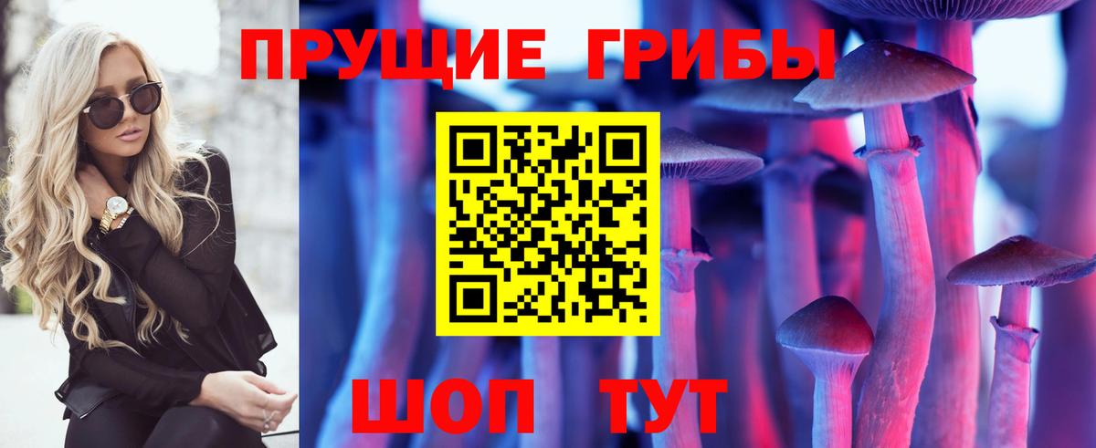 Рассказово  Галлюциногенные грибы Psilocybe  Вход с VPN 